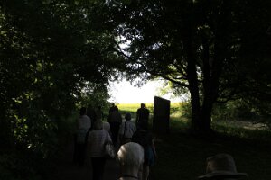 IMG_3696