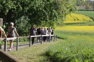 IMG_3705