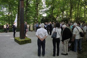 IMG_3726