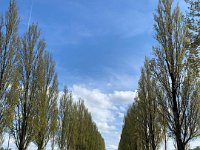 IMG-20230429-WA0014